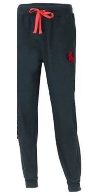 Polo Colorblock Fleece Zip Hoodie & Pants Set