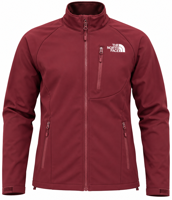 The Northface Apex Bionic  Hoodie - Men's